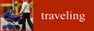Baby Traveling